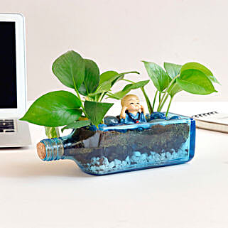 Money Plant Antiquity Bottle Terrarium-picture-10