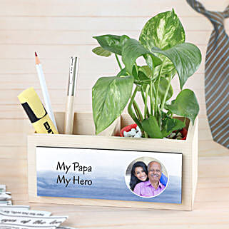 Money Plant For Super Dad-picture-29