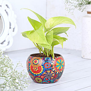 Money Plant In Colourful Rajwada Printed Pot-picture-15