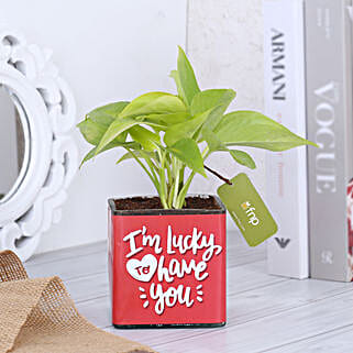 Money Plant In Lucky To Have You Glass Pot Hand Delivery-picture-29