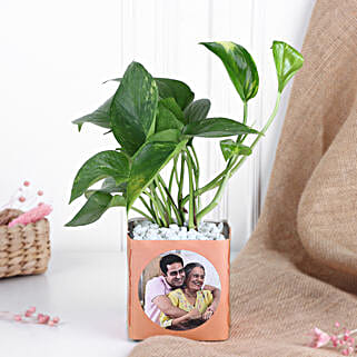Money Plant in Personalised Vase-picture-21