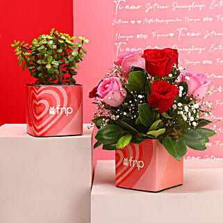 Natures Love Combo-picture-18