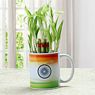 Oh So Beauty Combo-picture-19