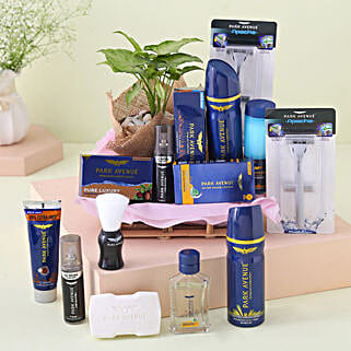Park Avenue Grooming Kit N Syngonium Plant Combo-picture-17