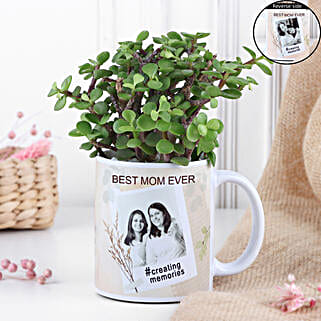 Personalised Jade Plant For Mom-picture-31