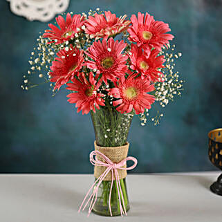 Pink Marvel Gerbera Vase-picture-24