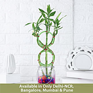 Prosperity 8 Shaped Bamboo Gift-picture-40