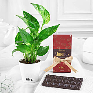 Prosperity N Delight Duo-picture-33
