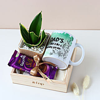 Purifying Plant N Sweet Treats Hamper for Dad-picture-41