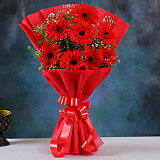 Red Elegance Gerbera Blossoms-picture-42
