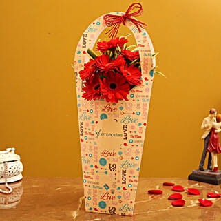 Red Gerberas In FNP Love Sleeve-picture-13