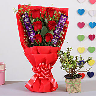 Red Roses Bouquet With Jade Plant Chocolates-picture-34