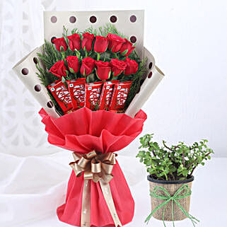 Red Roses Bunch With Jade Plant Kitkat-picture-28