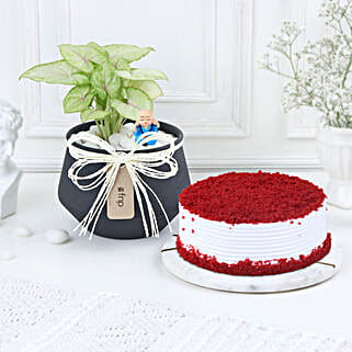 Red Velvet Serenity-picture-38