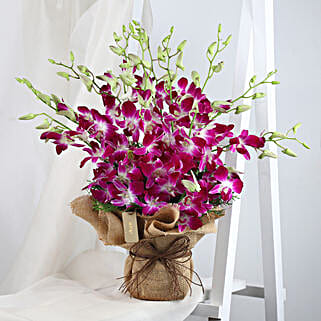 Romantic Purple Orchids Bunch-picture-28