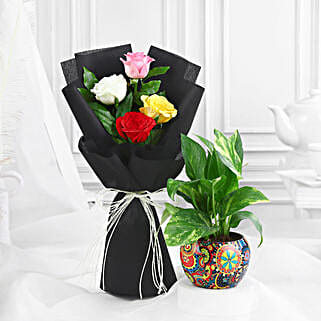 Rose Bouquet Bliss N Money Plant Combo-picture-23