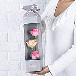 Rose Radiance Mini Surprise-picture-18