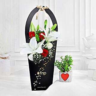 Rosey Wishes N Jade Plant Gift Combo-image-20