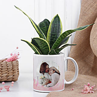 Sansevieria Gift Mug For Mom-image-1