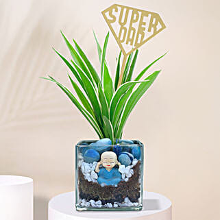 Spider Plant Tribute to Remarkable Dads-picture-14