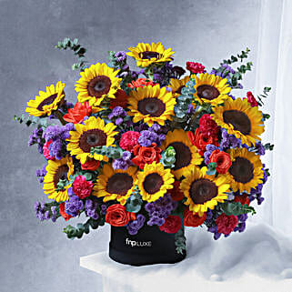 Sunbeam Extravagance