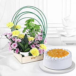Sunshine Harmony N Pineapple Cream Cake Combo-picture-38