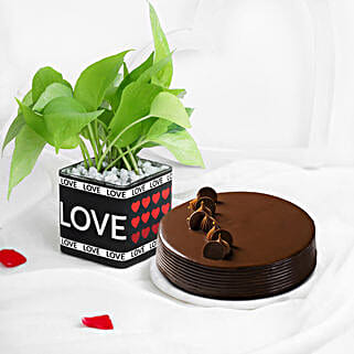 Sweet Green Bliss Combo-image-41