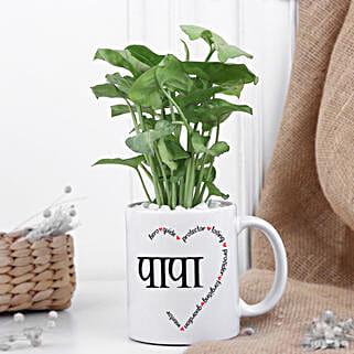 Syngonium Love For Dad-picture-32