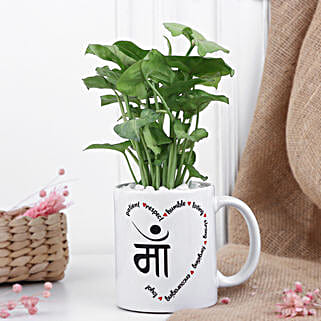 Syngonium Love For Mom-image-38