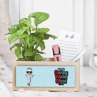Syngonium Plant Surprise For Bro-picture-33