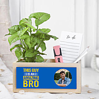 Syngonium Plant Surprise For Brother-picture-27