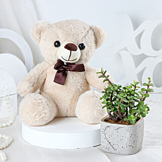 Teddy Love N Plant Special Valentine Gift-picture-21