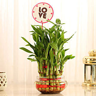 Three Layer Lucky Bamboo For Valentine Day-picture-16