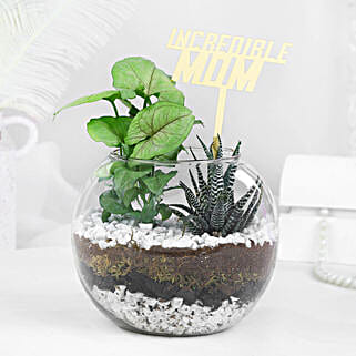 Tranquil Greenery Duo-picture-25