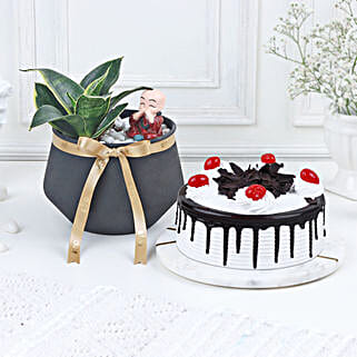 Tranquil Indulgence Arrangement-picture-24