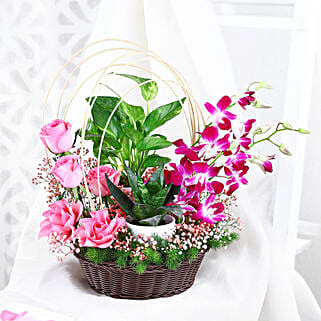 Tranquil Orchid and Greenery Gift