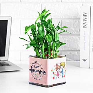 Two Layer Bamboo Plant Anniversary Greetings