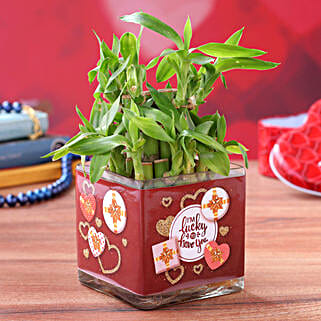 Two Layer Bamboo Plant In Im Lucky To Have You Sticker Vase Hand Delivery-image-31