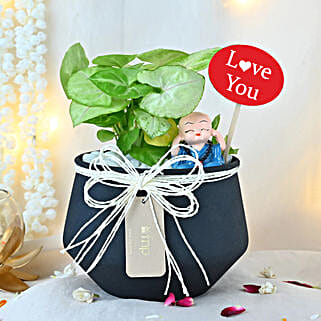 Valentines Money Plant Grove-image-38