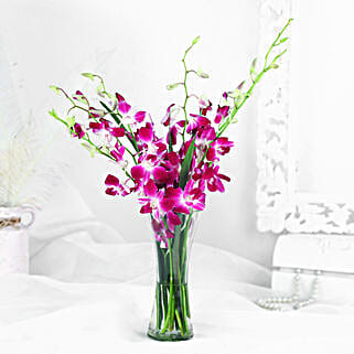 Vibrant Purple Orchid Bunch-picture-27