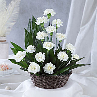 White Carnations Cane Basket Arrangement-picture-47
