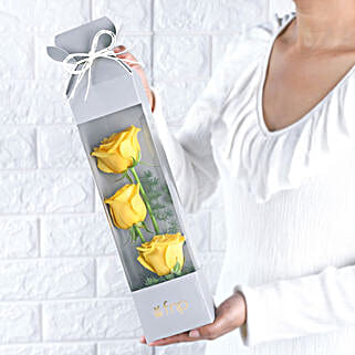 Yellow Rose Sunshine-picture-41