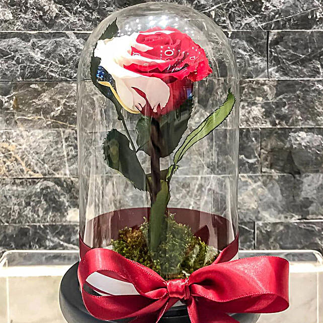 Send Forever Roses in Qatar, Order Preserved Roses in Qatar Ferns N